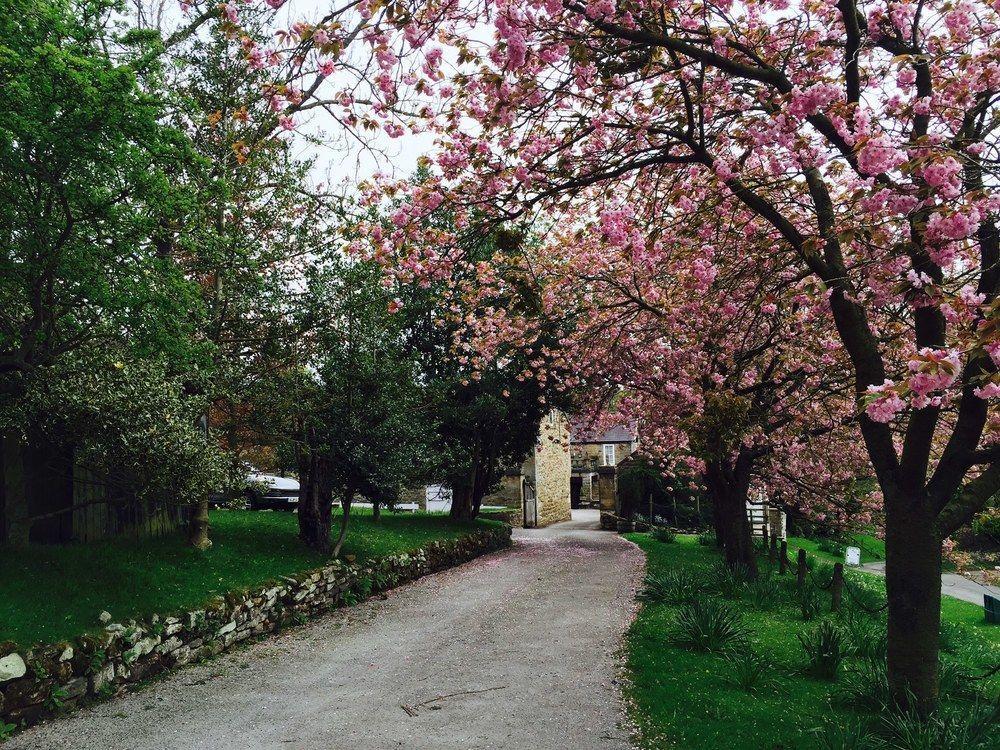 Lastingham Grange Экстерьер фото